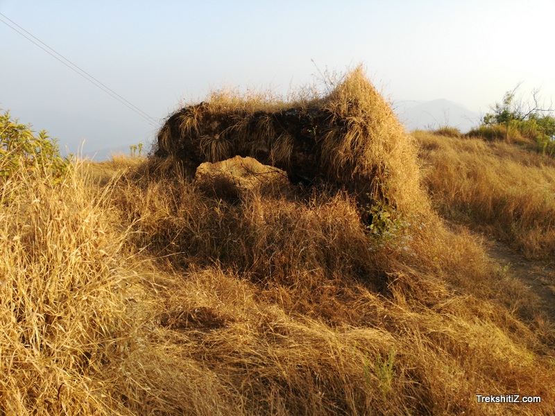 Madhu makarandgad